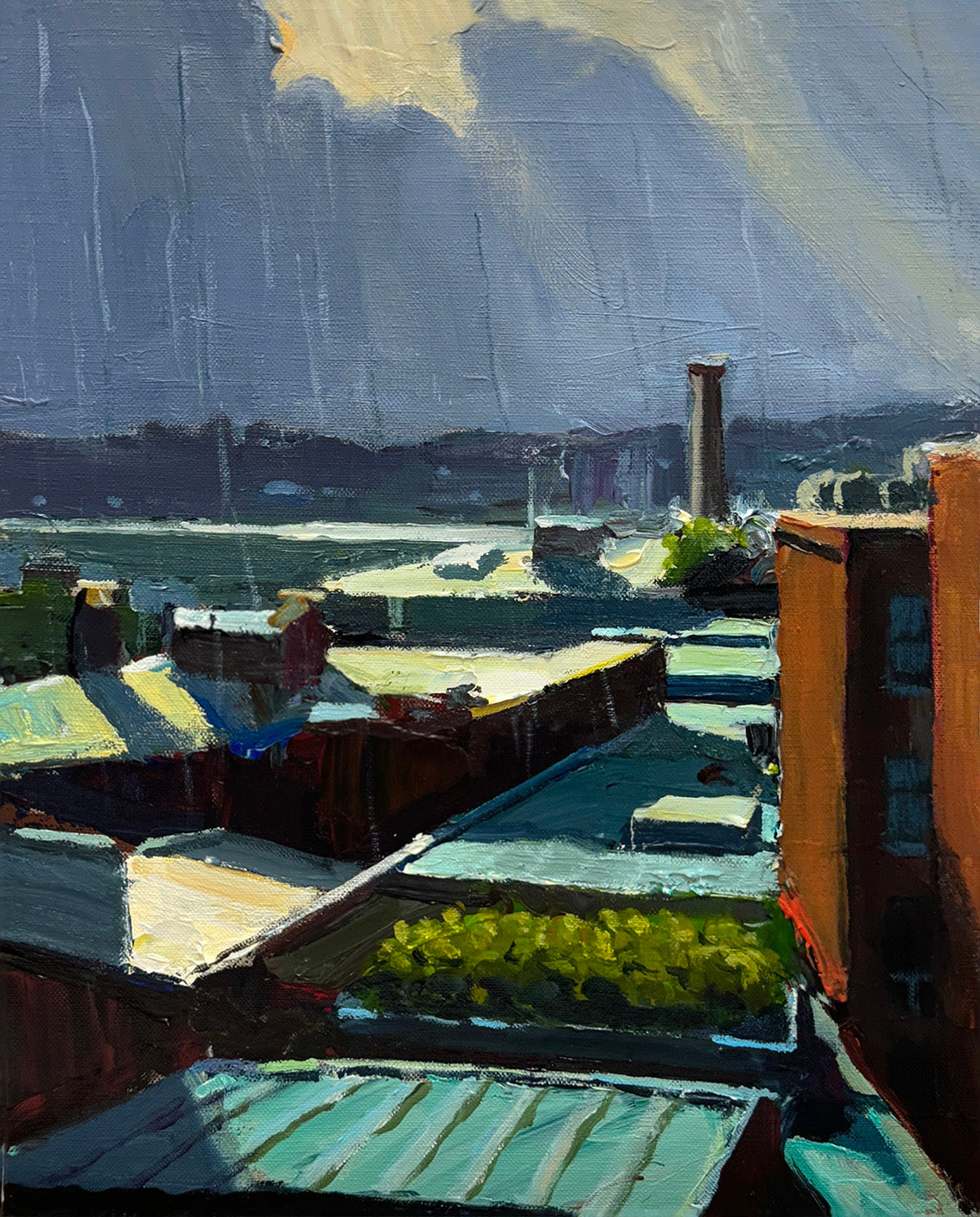 Sun Showers, Pyrmont