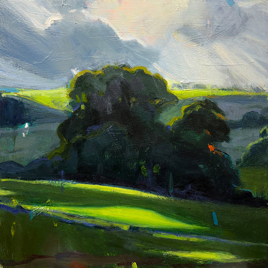 A Patch of Field