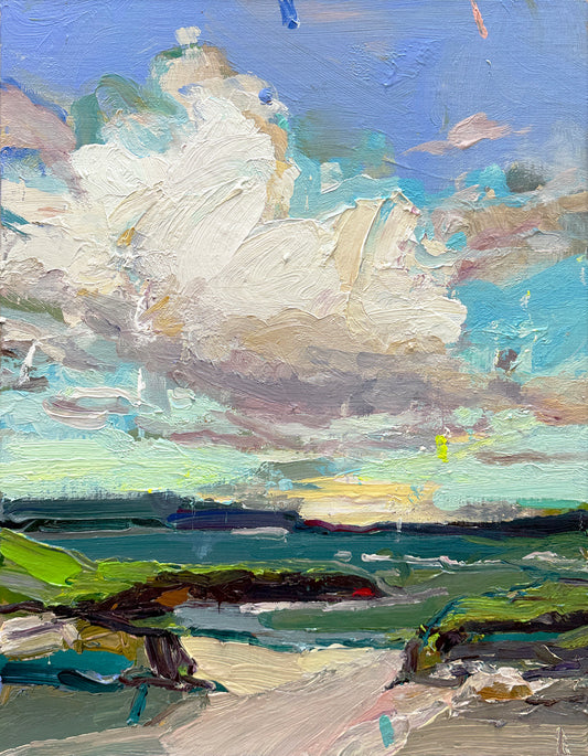 Mostly Sky